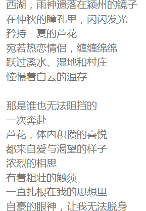 程陽(yáng)輝：又見(jiàn)蘆花（詩(shī)歌）