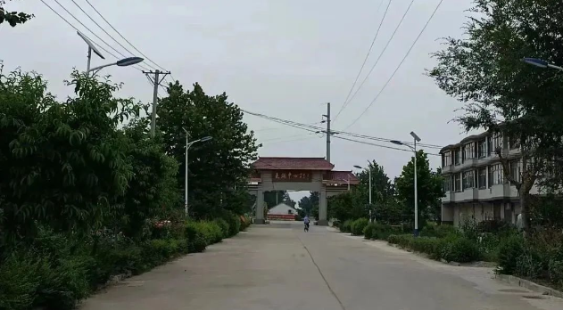 安徽金馬藥業(yè)積極響應潁東區(qū)百企興百村計劃對大橋村進行幫扶活動