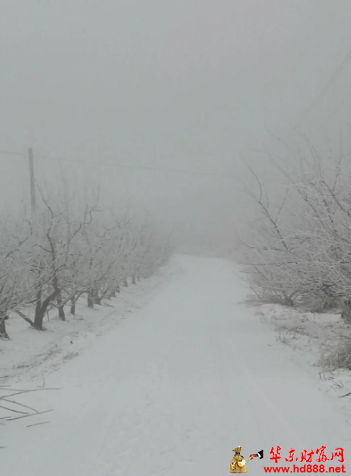 三月，村莊剛剛下起了雪（外一首）