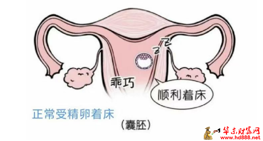 受精卵“迷路”了怎么辦？